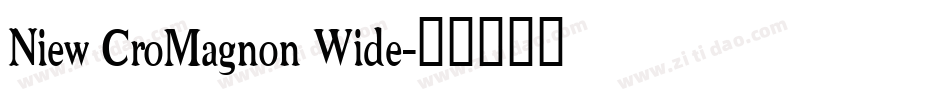 Niew CroMagnon Wide字体转换